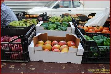 Romería popular y actos para los más pequeños en Lomo Cementerio/Agustín Cabrera y TA.